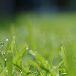 これから純金積立を始める方が知っておきたいこと